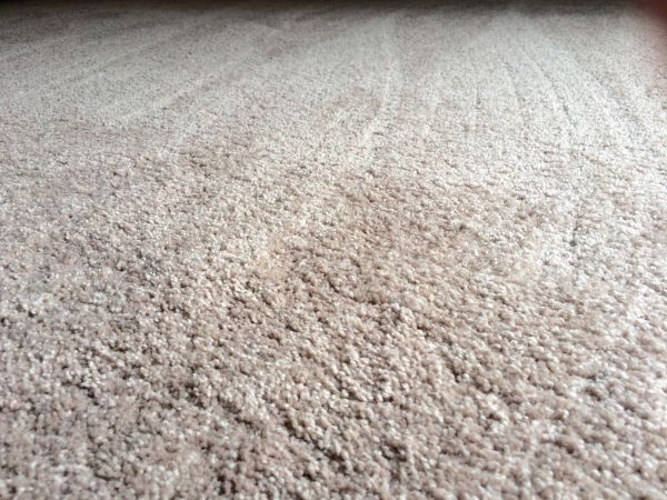 Plush Carpet Installation in Loveland