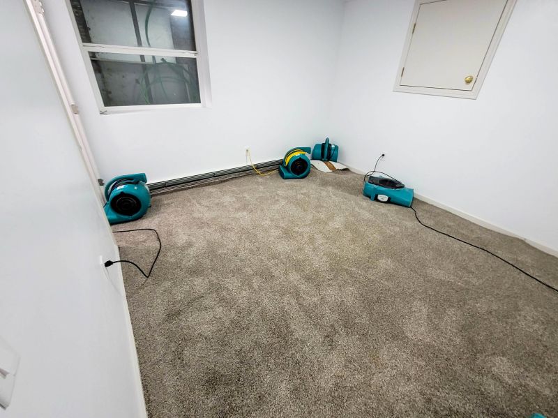 Carpet Restoration